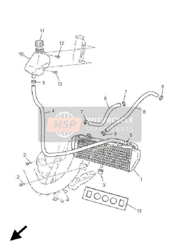 Radiator & Hose